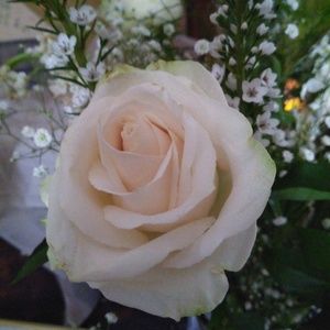 Meet your Posher, Andrea